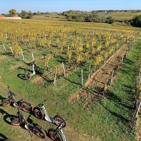 Maison 15 Sauternes Ngoại thất bức ảnh