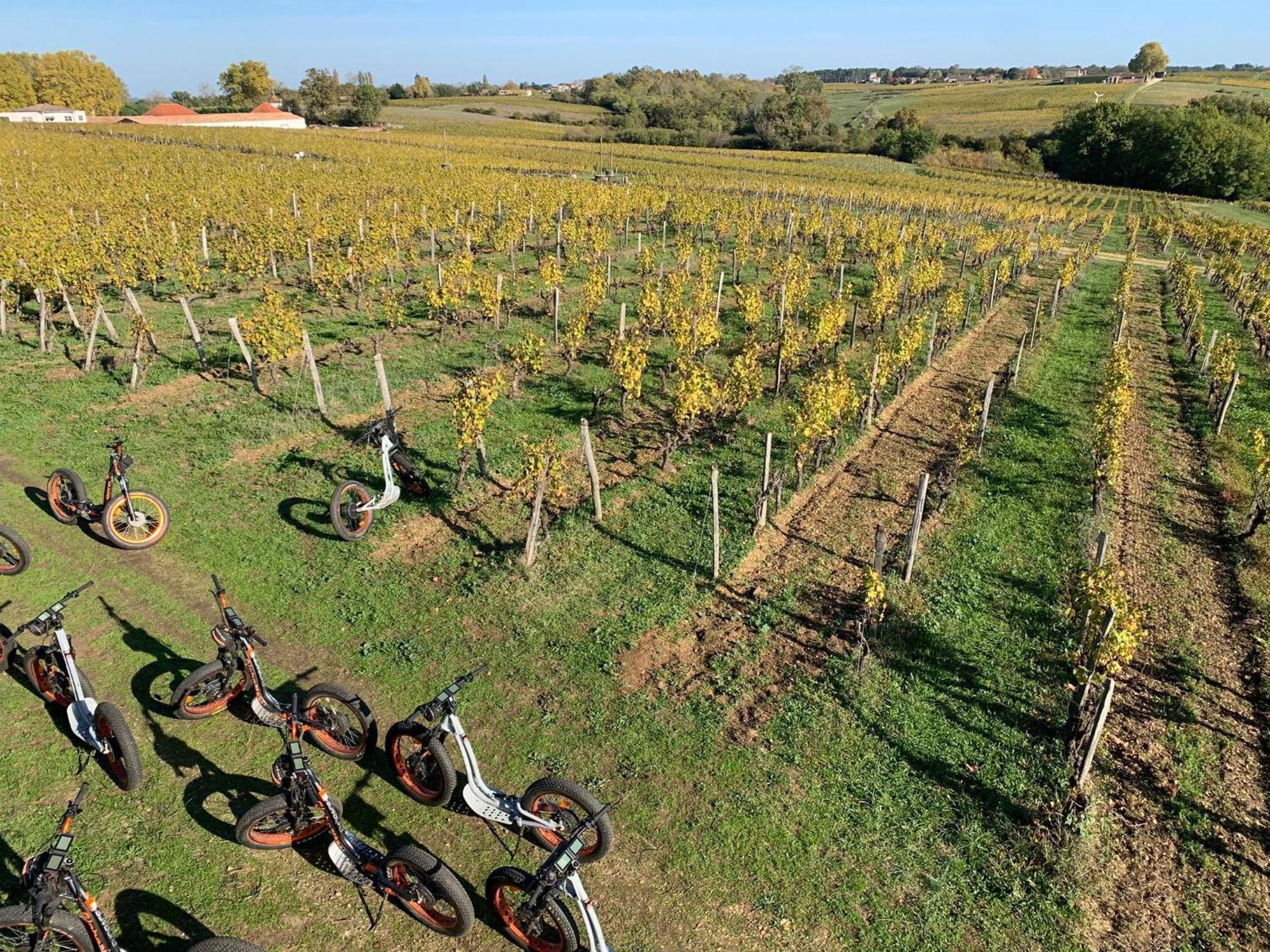 Maison 15 Sauternes Ngoại thất bức ảnh